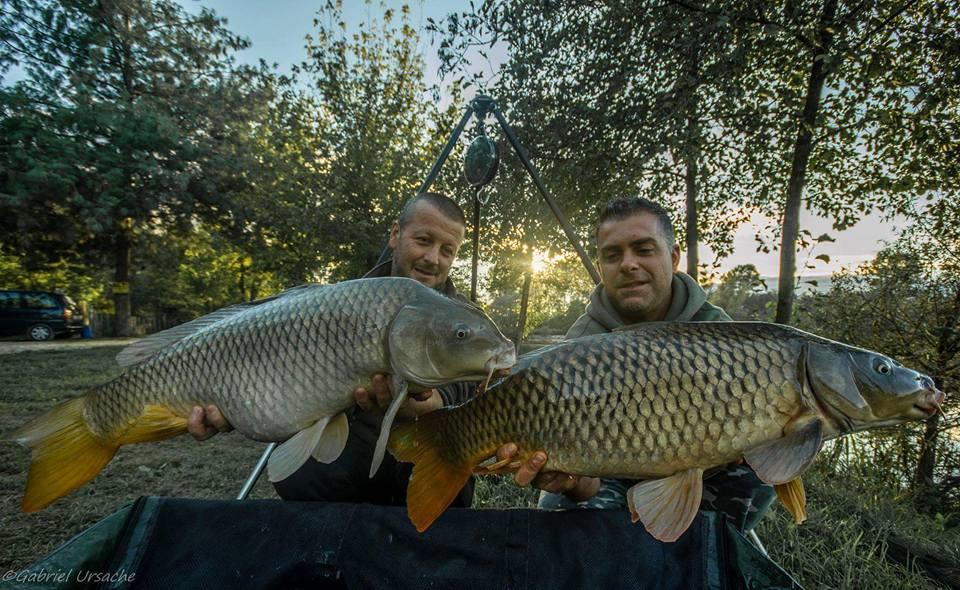 Carpfishing la modul meu 2015 - 1203666110400679493507345107435743132089958n.jpg